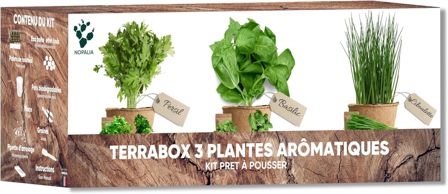 Kit graines herbes aromatiques